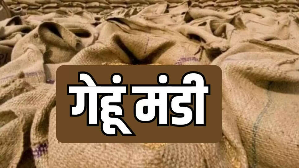wheat prices 