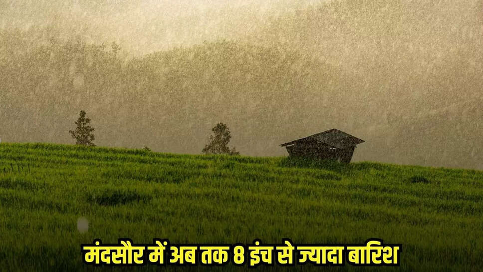 Mandsaur News