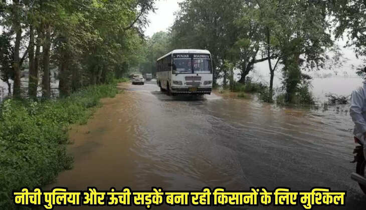 Burhanpur news, MP news,