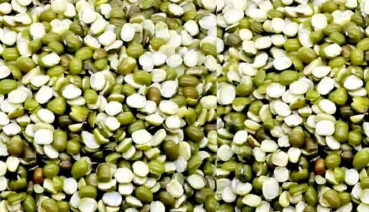 दलहन-तिलहन