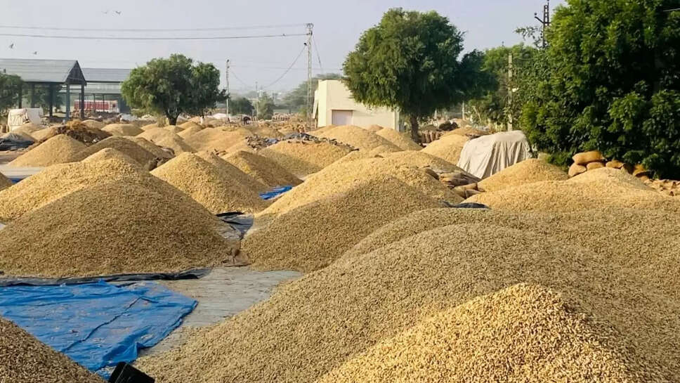 Today mandi bhav