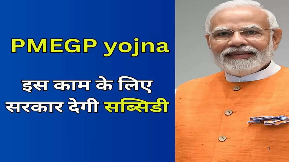 इस काम के लिए सरकार देगी सब्सिडी, फिर हर महीने होगी तगड़ी कमाई 