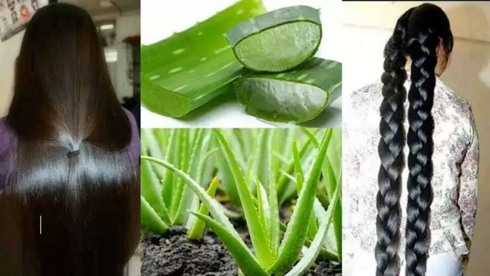 Hair care tips