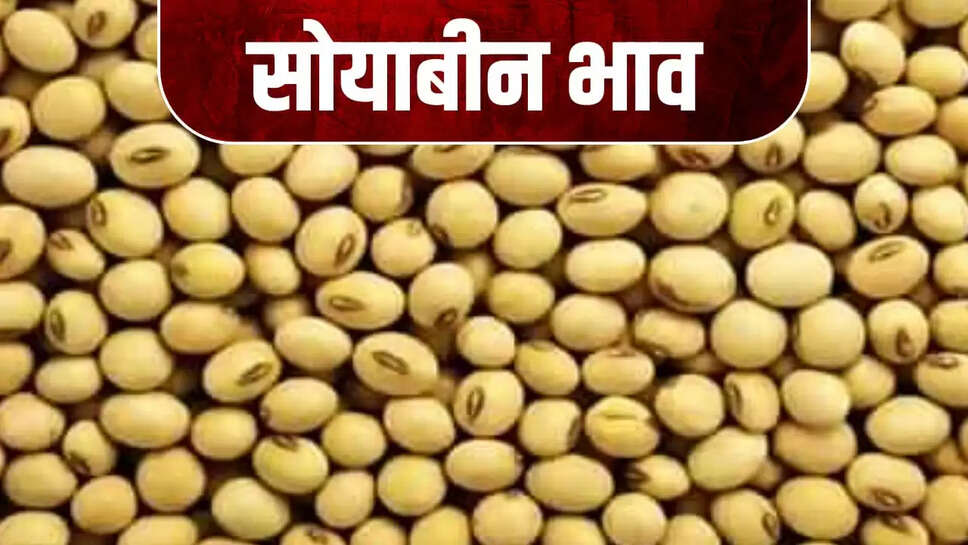 सोयाबीन भाव
