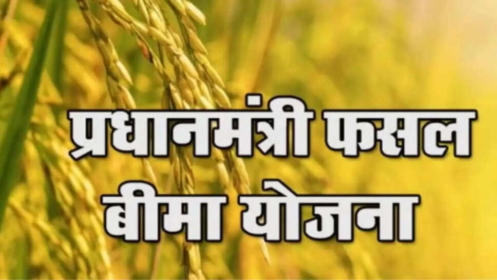  crop insurance