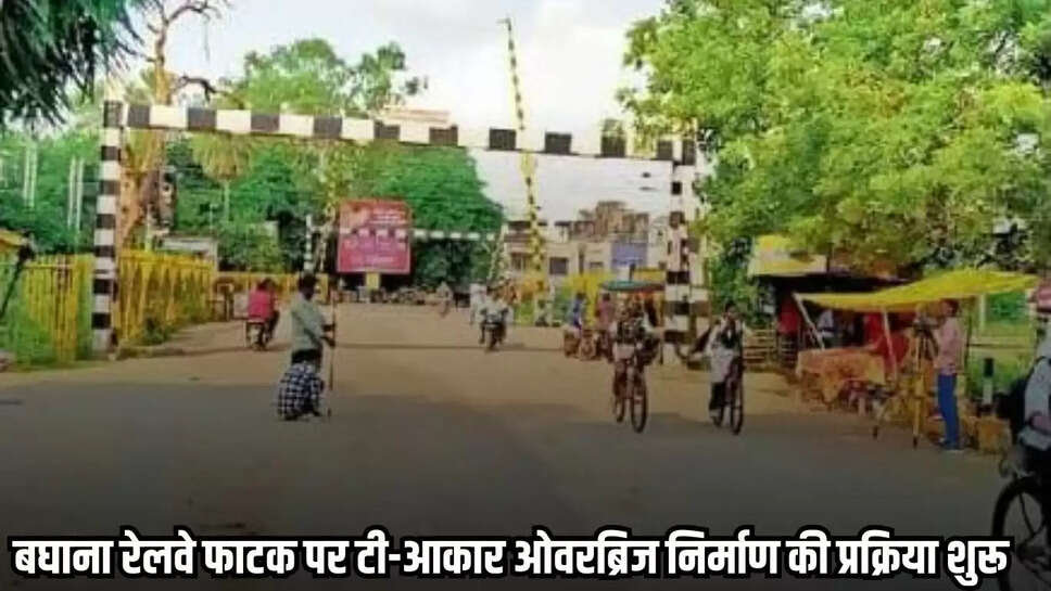 Neemuch news, MP news,