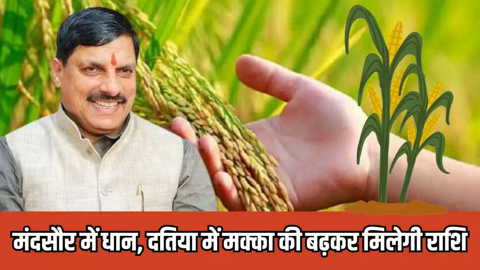 Mandsaur News