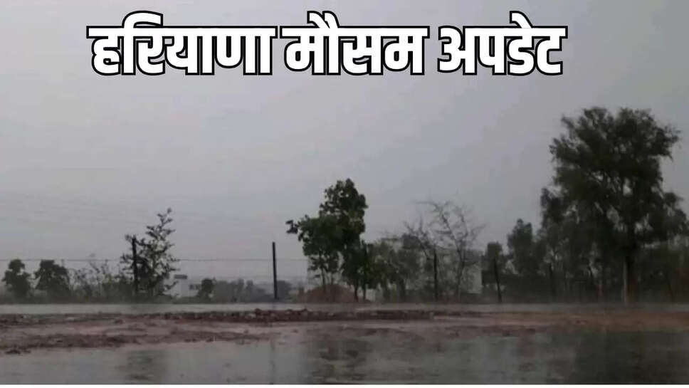 Haryana weather update 