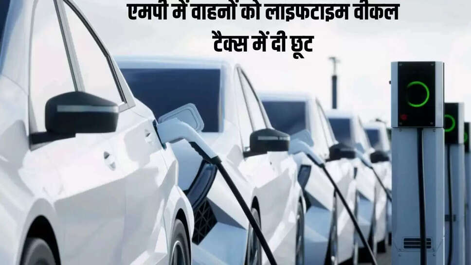 Lifetime vehicle tax