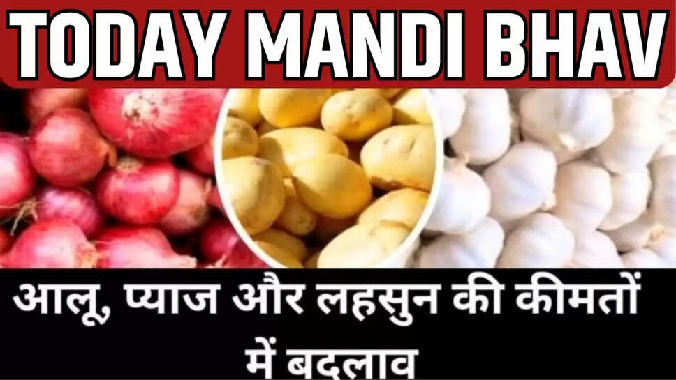 Today mandi bhav