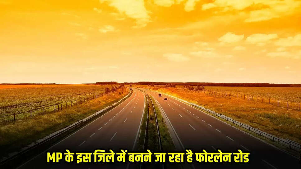 MP News