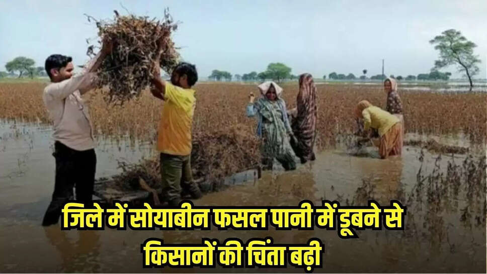 Mandsaur news, MP news,