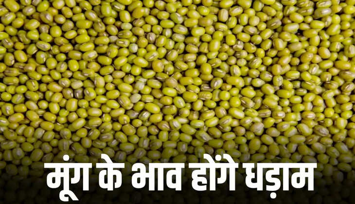 मूंग के भाव