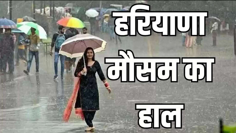 rain water 