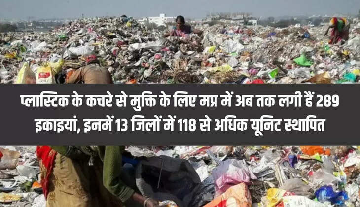  प्लास्टिक के कचरे 