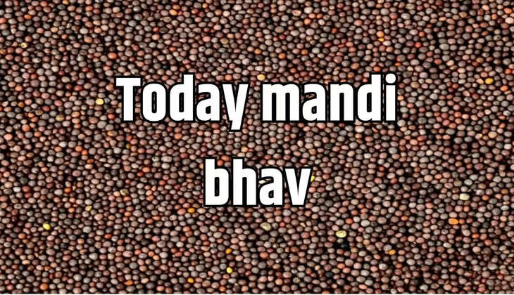 Today mandi bhav