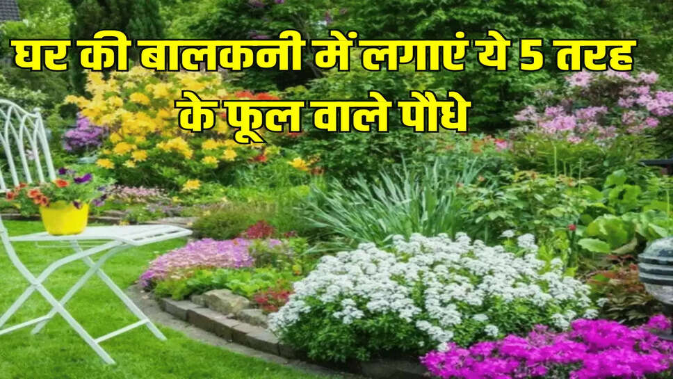 घर की बालकनी में लगाएं ये 5 तरह के फूल वाले पौधे