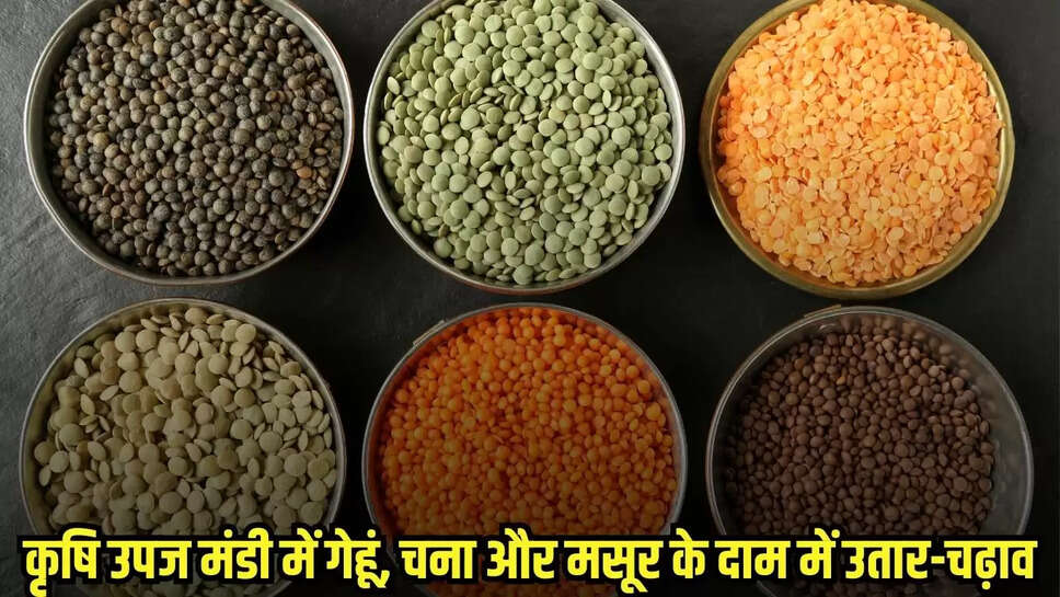 Bina news, MP news,