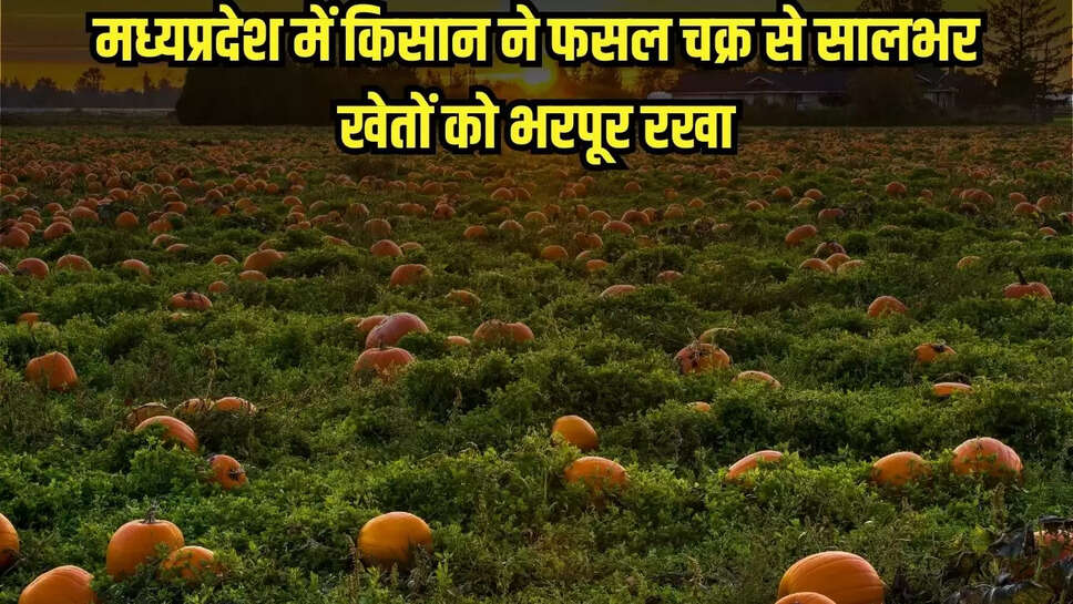 MP News