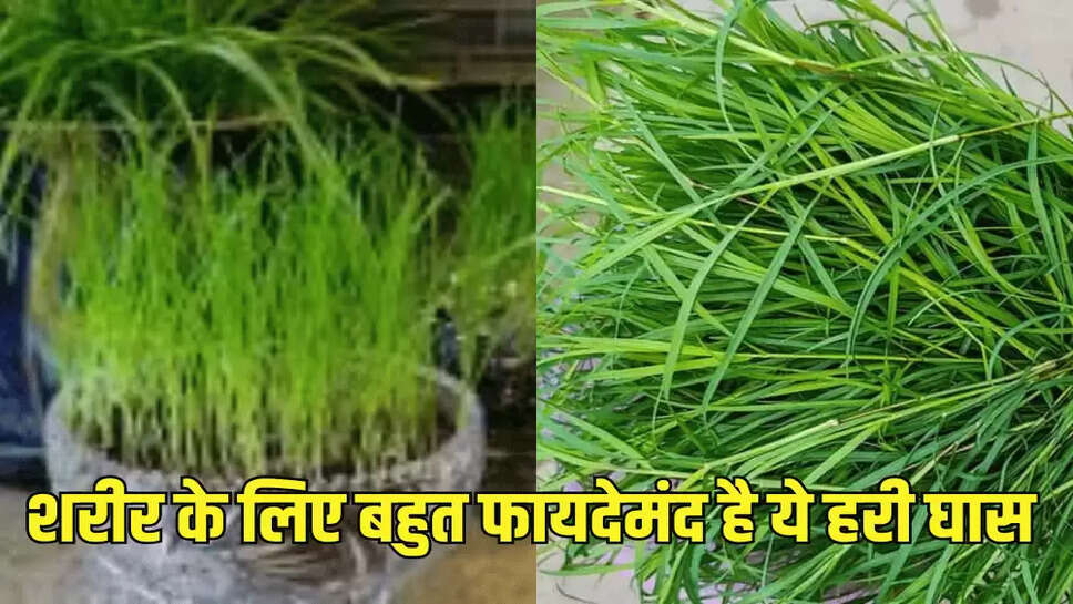 शरीर के लिए बहुत फायदेमंद है ये हरी घास