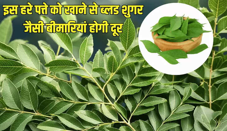 इस हरे पत्ते को खाने से ब्लड शुगर जैसी बीमारियां होगी दूर