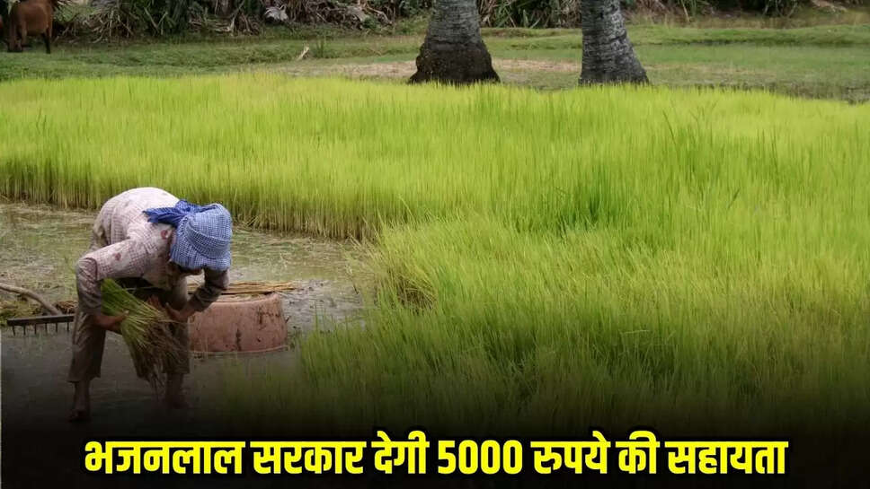 Rajasthan News