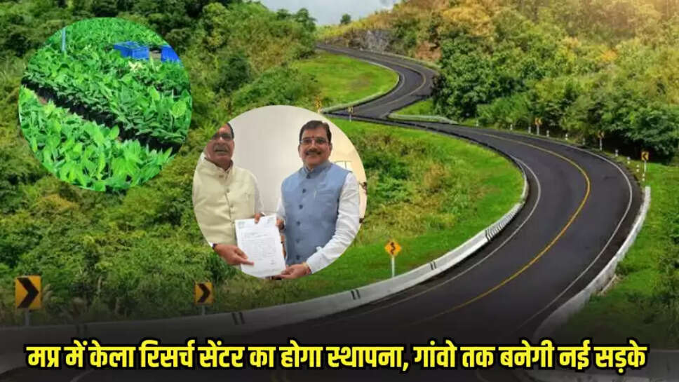 Mp news