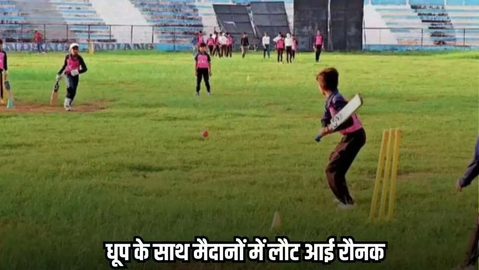 Mandsaur news, MP news,