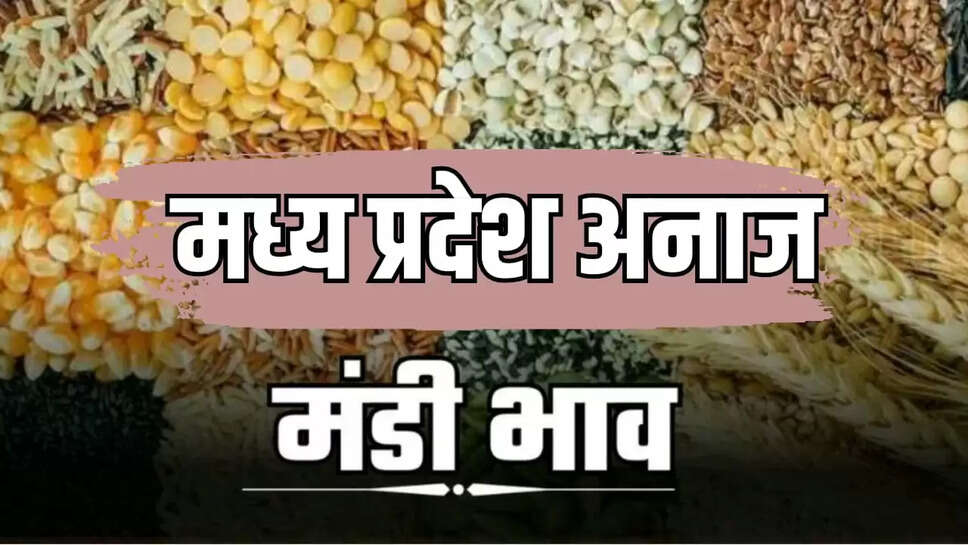 Mandi Bhaav