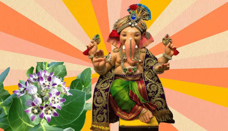 भगवान गणेश जी को अर्पित करें ये फूल