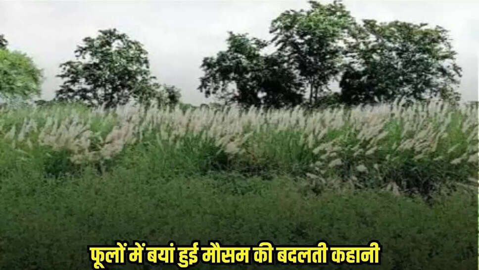 Chhatarpur news, MP news,