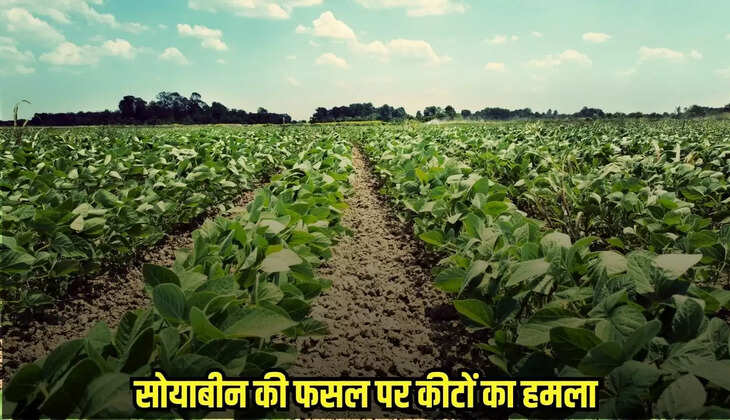 Chhatarpur News