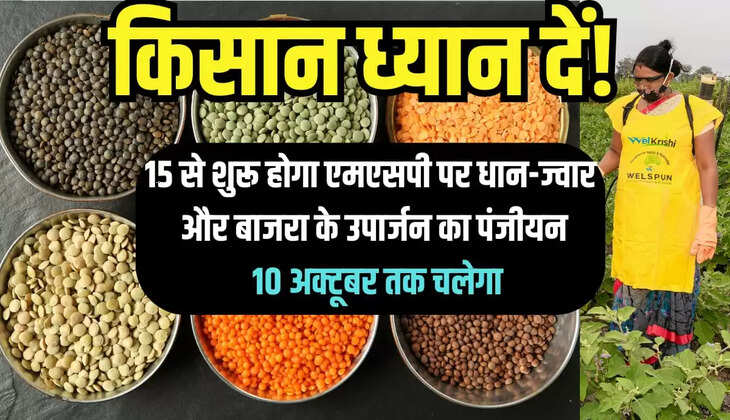  धान-ज्वार और बाजरा 