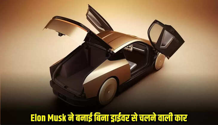 Tesla Robotaxi Service
