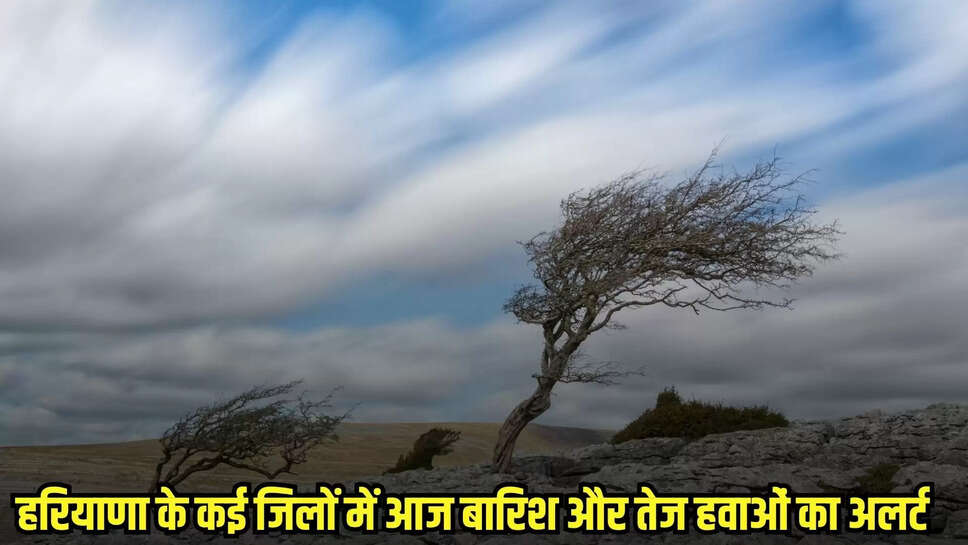 Haryana Wheather Update