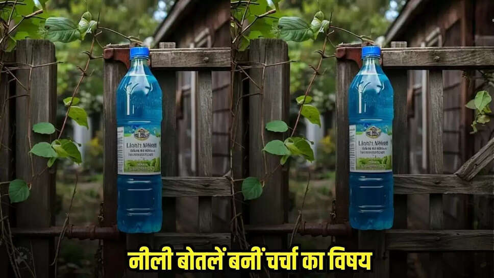 Blue Bottle