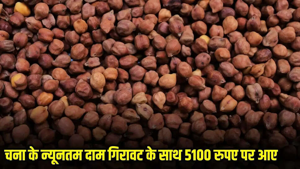 Bina News