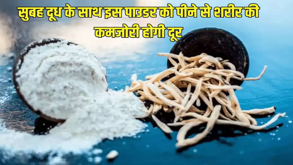 सुबह दूध के साथ इस पाउडर को पीने से शरीर की कमजोरी होगी दूर