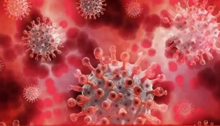  कोरोना संक्रमित मरीज