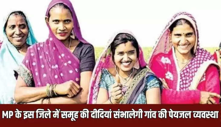  समूह की दीदियां 