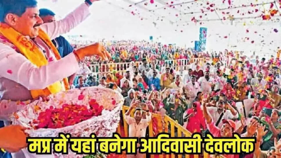 Mp news