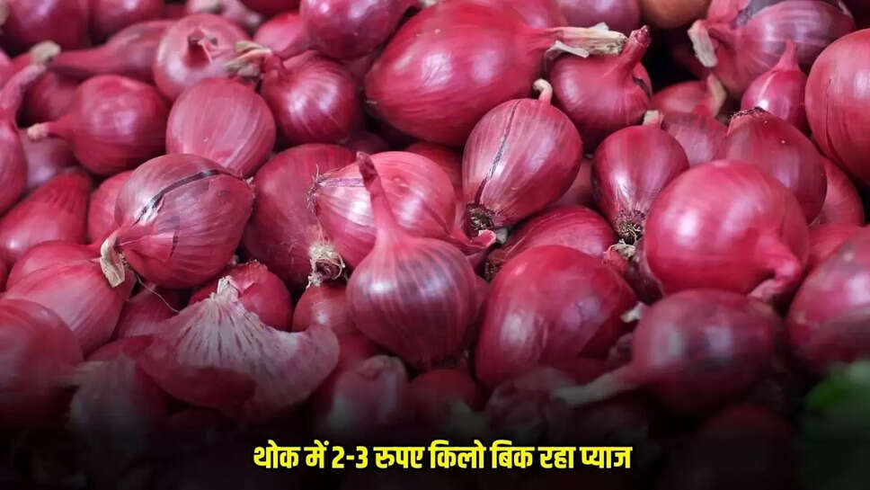 Mandsaur News