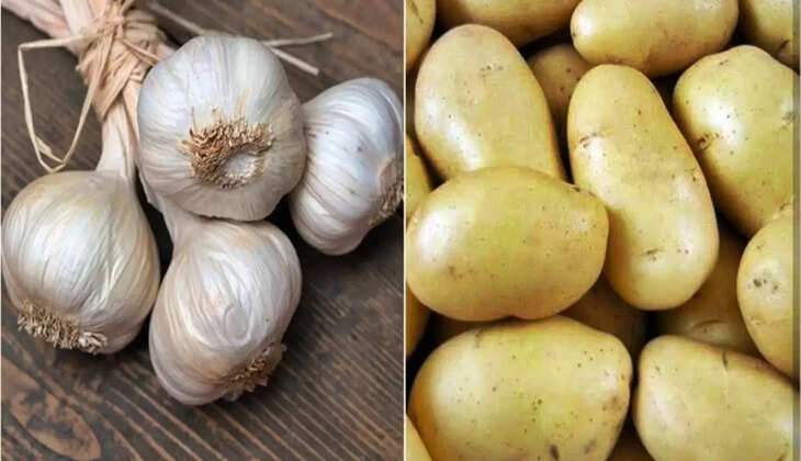  garlic and new potatoes 