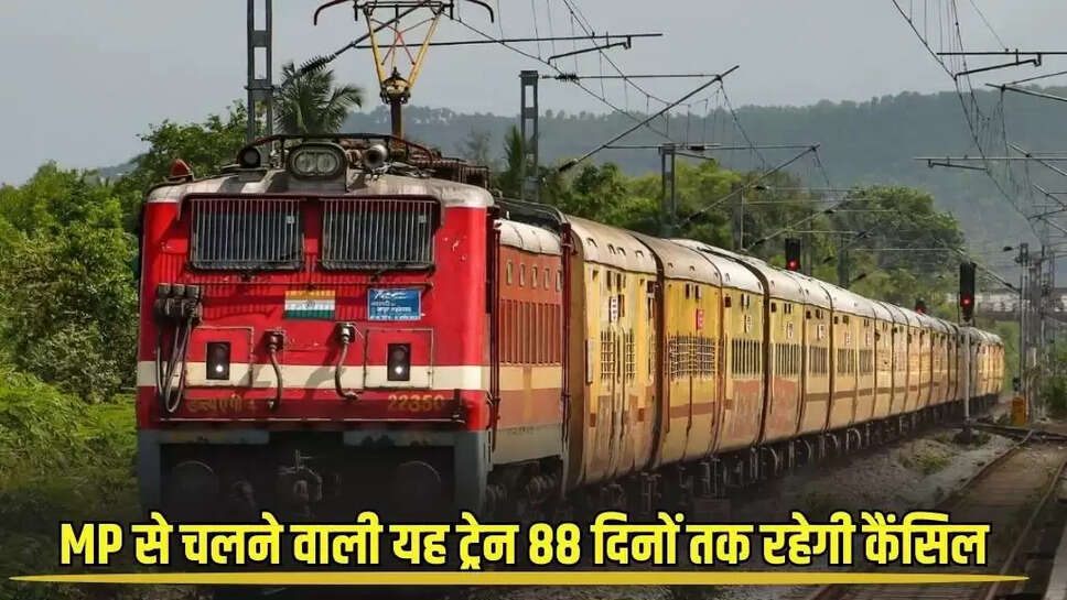 Mp news