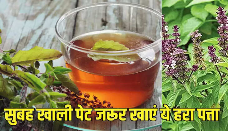 सुबह खाली पेट जरूर खाएं ये हरा पत्ता