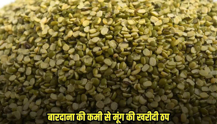 Damoh News