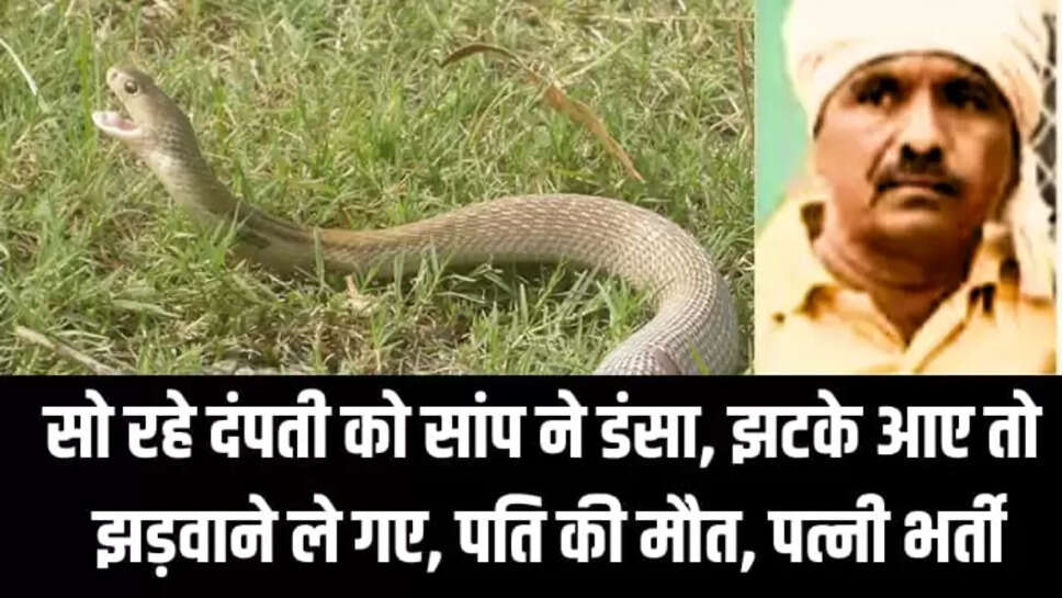 सो रहे दंपती को सांप ने डंसा