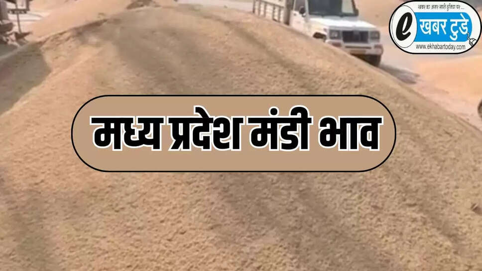 Today mandi bhav