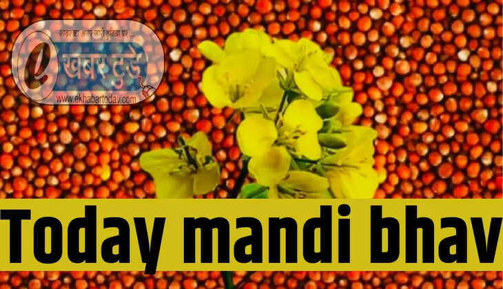 Today mandi bhav