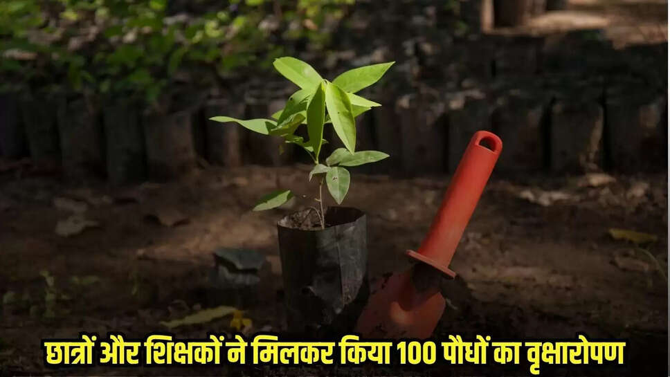 Mandsaur News